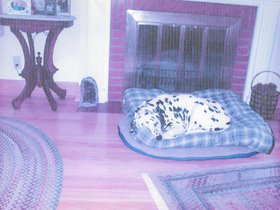 Gaston at 3238 Atwood.jpg